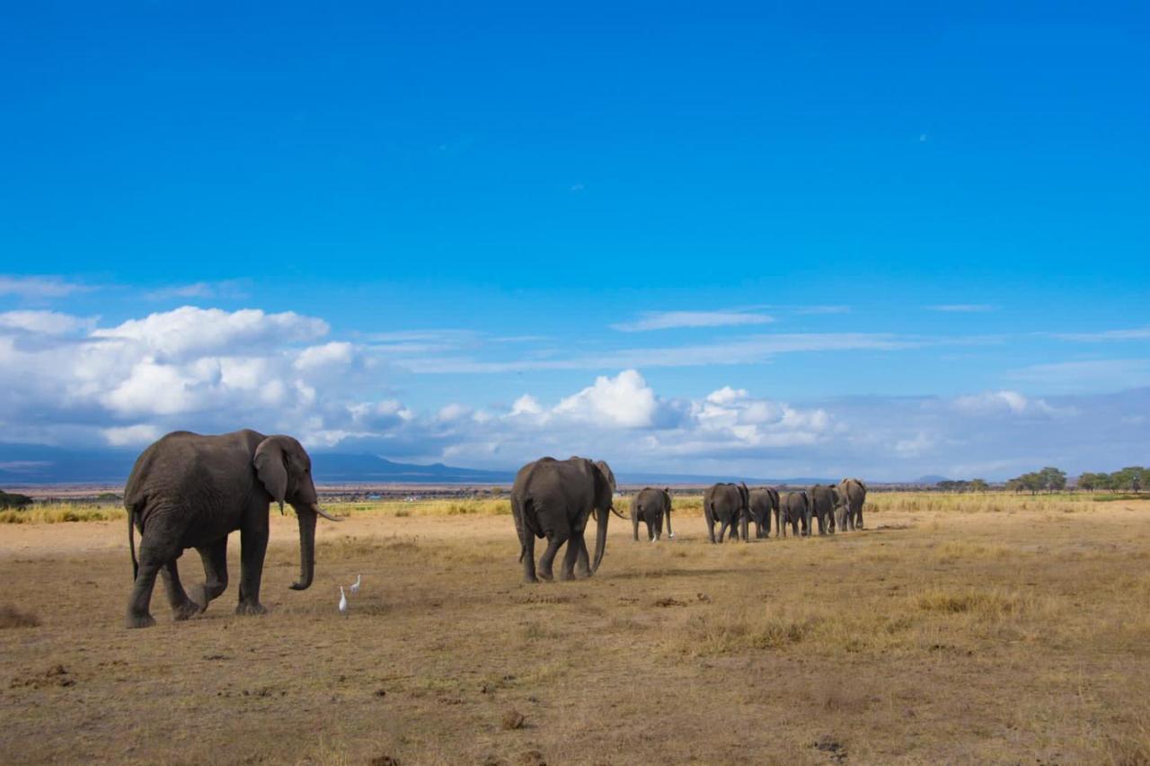 Amboseli Cultural Camping Eksteriør bilde