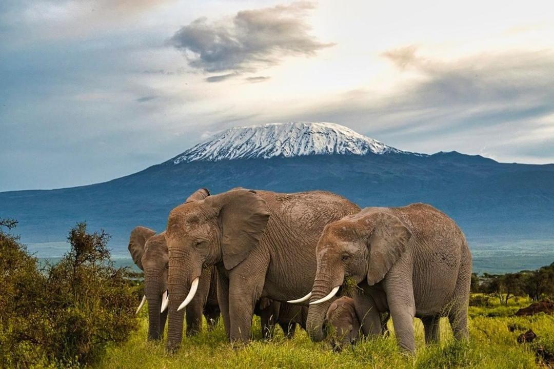 Amboseli Cultural Camping Eksteriør bilde