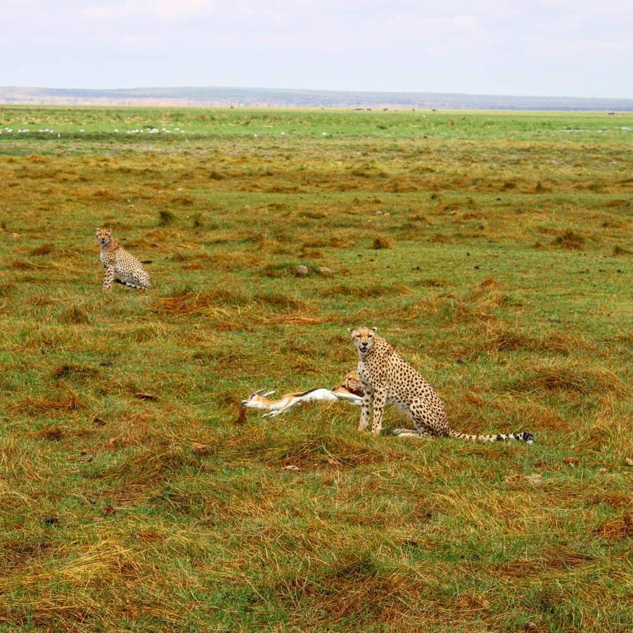 Amboseli Cultural Camping Eksteriør bilde