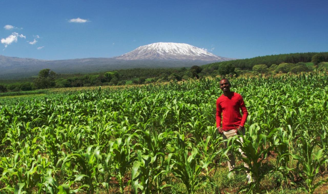 Amboseli Cultural Camping Eksteriør bilde