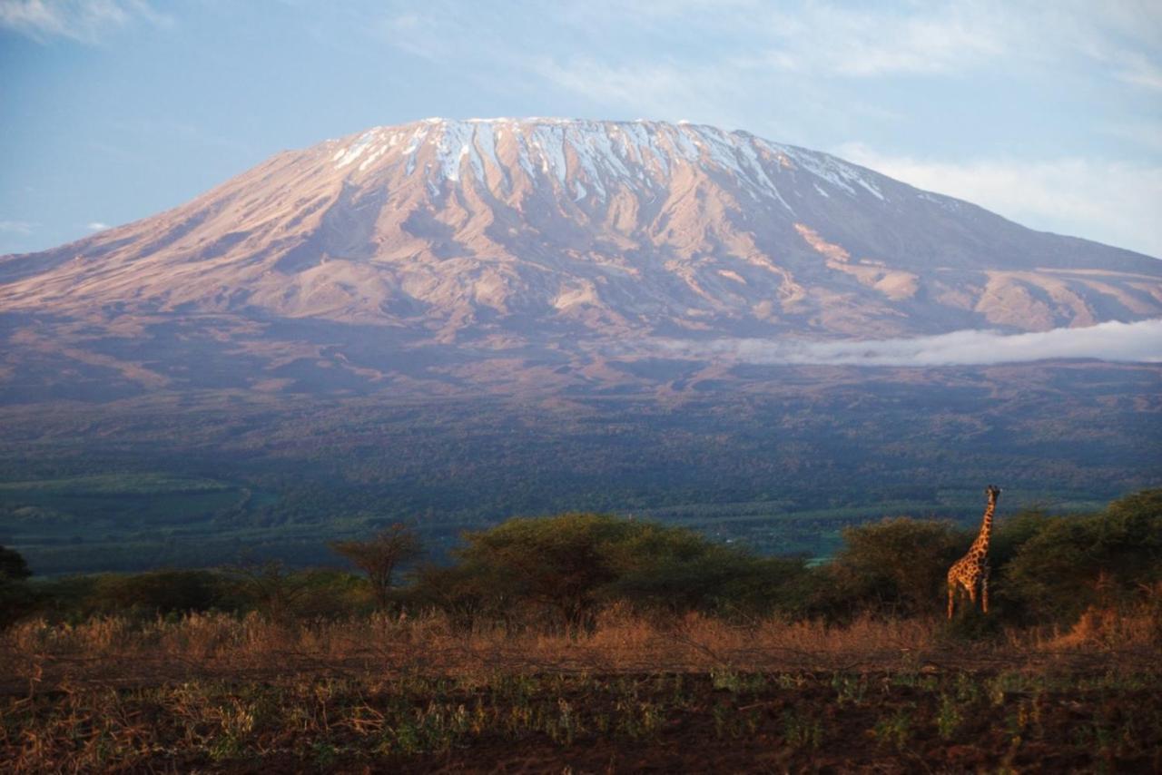 Amboseli Cultural Camping Eksteriør bilde